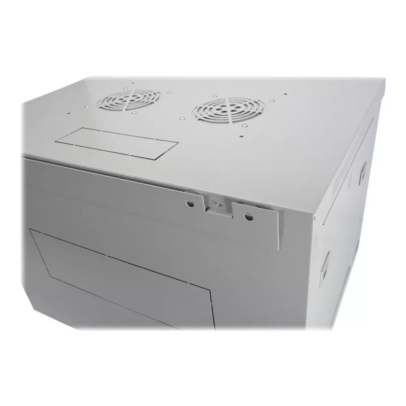 Digitus sienas montāžas korpuss Dynamic Basic sērija - 600x450 mm (PxD)
