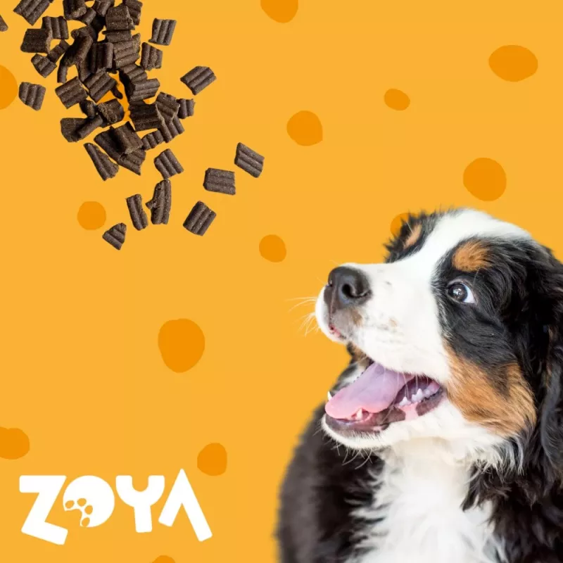 ZOYA ColdPRO Lamb - sausā suņu barība - 1kg