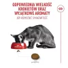 ROYAL CANIN Savour Exigent sausā kaķu barība 10 kg