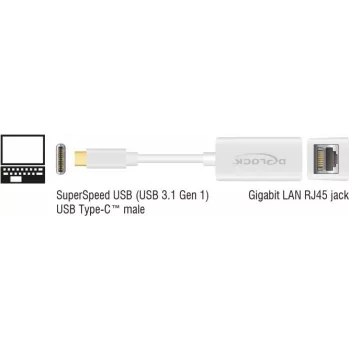 DeLOCK 65906 USB Type-C uz Gigabit LAN tīkla adapteris, balts