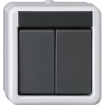 GIRA KNX spiedpogas modulis BA 2-virzienu Pelēks AP 2Punkt 516230