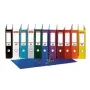 Binder Esselte No.1, A4 / 50 mm, standarta, ķiršu