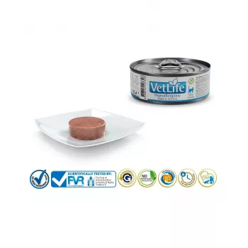 FARMINA Vet Life Hypoallergenic Cūkgaļa un Kartupeļi - mitrā kaķu barība - 85 g
