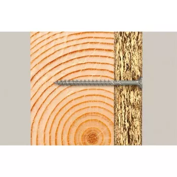 Skrūve Fischer 670511 300 mm 25 gab.
