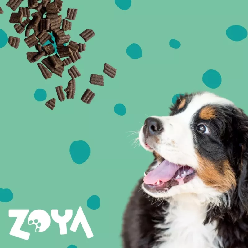 ZOYA ColdPRO sausā suņu barība ar brieža gaļu, 9 kg