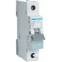 Hager MBS125 25A B tipa automātiskais slēdzis 1 modulis