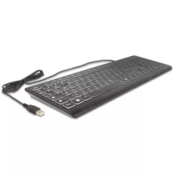 DeLOCK 12170 Tastatūra universāla USB QWERTZ vācu Melna mehāniska RGB