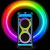 Portatīvais skaļrunis MANTA SPK0601B100, 100 W, Bluetooth, karaoke, bezvadu mikrofons, akumulators, ekvalaizers, disko apgaismojums