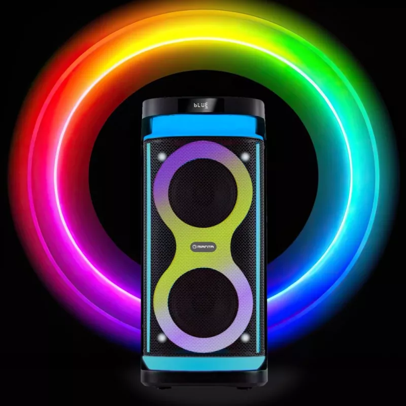 Portatīvais skaļrunis MANTA SPK0601B100, 100 W, Bluetooth, karaoke, bezvadu mikrofons, akumulators, ekvalaizers, disko apgaismojums