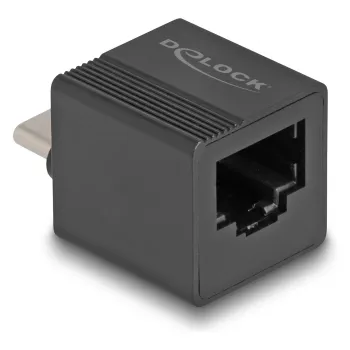 DeLOCK USB Type-C adapteris uz Gigabit LAN mini Melns