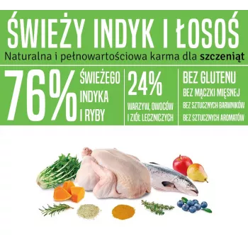 ARQUIVET Fresh Puppy Turkey and Salmon - pusmitra suņu barība - 10kg