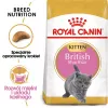 Sausā kaķu barība Royal Canin British Shorthair Kitten 2 kg – vista, 38% olbaltumvielas, 20% tauki, augšanas formula
