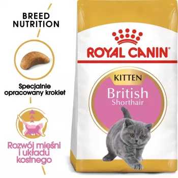 Sausā kaķu barība Royal Canin British Shorthair Kitten 2 kg – vista, 38% olbaltumvielas, 20% tauki, augšanas formula