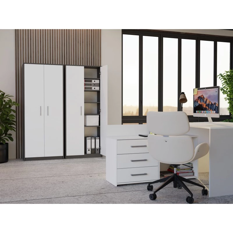 OLIV 2D CLOSED SHELVING UNIT, ANTHRACITE/Balts SET