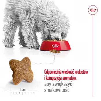 Sausā suņu barība Royal Canin Adult Mini S 8 kg — pilnvērtīga barība mazo šķirņu pieaugušiem suņiem