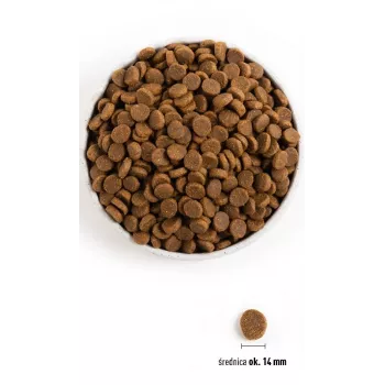 ACANA Senior - sausā barība suņiem - 11,4 kg