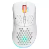 Datorpele Deltaco GAM-120-W RF Bezvadu USB Type-C