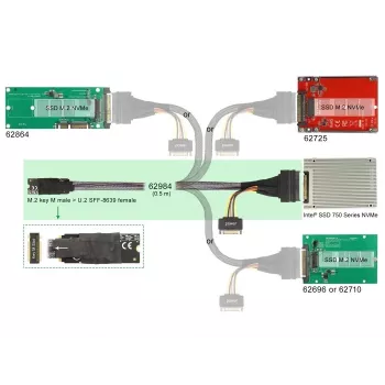 DeLOCK M.2 Key M uz U.2 SFF-8639 NVMe adapteris ar 50 cm kabeli