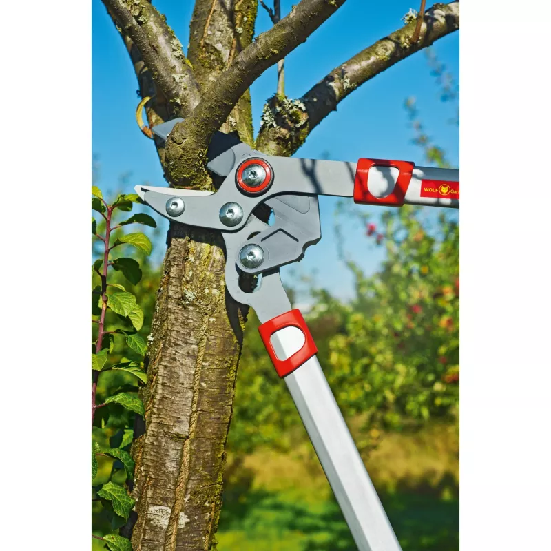 Dārza grieznes WOLF-Garten POWER CUT RS 650 BASIC PLUS