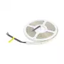 Synergy 21 LED Flex Strip 5050 - 60 RGB DC24V + RGB-W viena mikroshēma SWW IP65