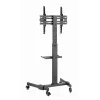 TV statīvs GEMBIRD TVS-55T-01 32–55 collu televizoriem, tērauds, augstuma regulējams VESA 100x100–400x400, slīpums, riteņi, max slodze 35 kg