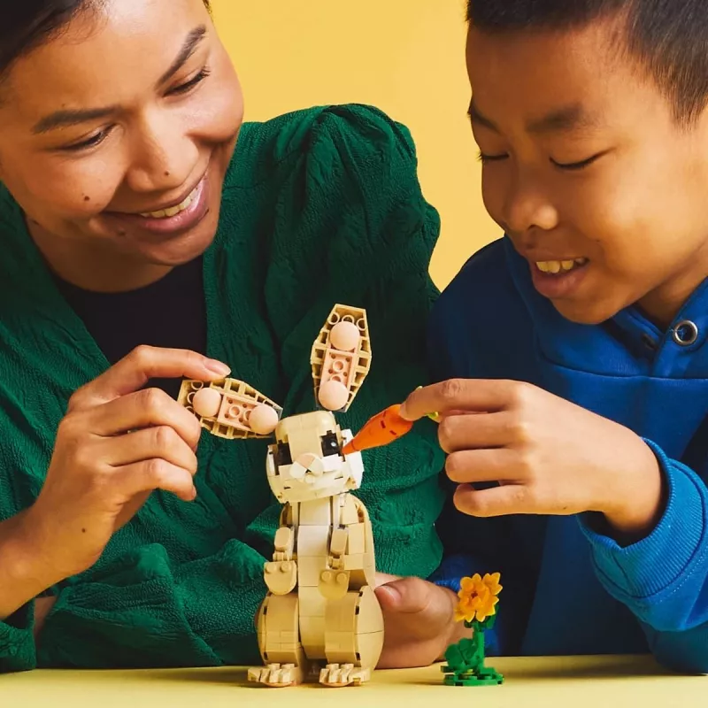 LEGO CREATOR 3 IN 1 31162 Jauks trusis
