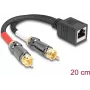 DeLOCK audio kabelis 0.2 m RJ-45 uz 2 x RCA, melns