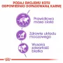 ROYAL CANIN Sterilised 37 - sausā barība kaķiem - 10 kg