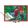 Ravensburger Krāsošana pēc numuriem - Krāsaini Papagaiļi