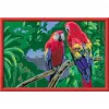 Ravensburger Krāsošana pēc numuriem - Krāsaini Papagaiļi
