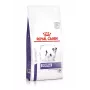Royal Canin VHN Dog Dental Small sausā barība suņiem, 2 kg