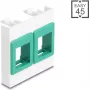 Sienas montāžas moduļu rāmis 45x45 mm DELOCK Easy 2x Keystone turētājiem balts/zaļš