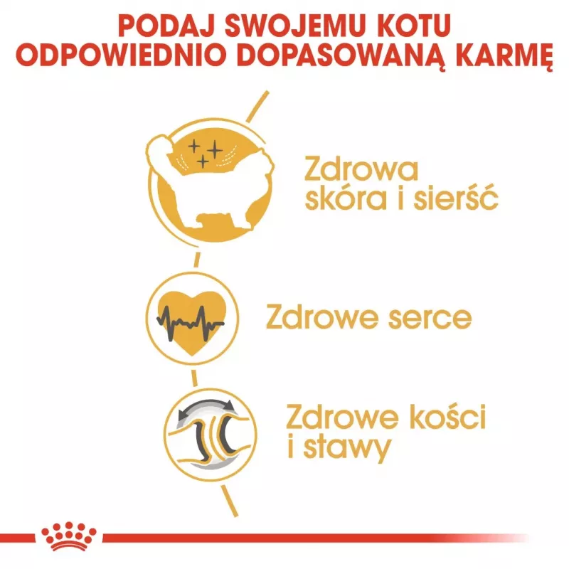 Royal Canin FBN Ragdoll Adult sausais kaķu ēdiens, 2 kg