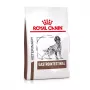 ROYAL CANIN Gastrointestinal - sausā barība suņiem - 2kg