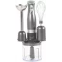 Rokas blenderis Salter EK2827COSVDEEU10 3-in-1