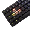 Mehāniskā tastatūra White Shark Nagamaki GK-006131 Black US izkārtojums Brown slēdži