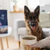 ADDVENA Power of Nature Adult Medium/Large Lamb - sausā barība suņiem - 10kg