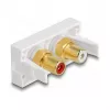 DeLOCK Easy 45 kontaktligzda 2 x RCA Balta ABS
