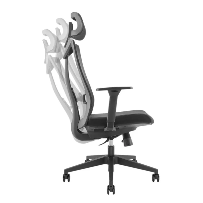 Ergonomiskais premium biroja krēsls Ergo Officer ER-414