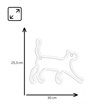 Dekoratīvā neon stila gaisma MANTA SNL70WH Style Neon Lights CAT 2 Balta 70 cm