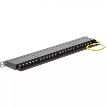 Patch panel DeLOCK 43316 0,5U 19 inch 24 portu RJ-45 LSA