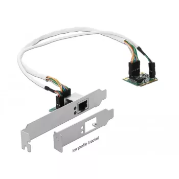 DeLOCK Mini PCIe I/O PCIe puse izmēra 1 x Gigabit LAN Low Profile - tīkla adapteris - PCIe Half Mini Card - Gigabit Ethernet x 1 (95265)