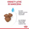 Sausā suņu barība Royal Canin Starter Mother & Babydog 1 kg — vistas gaļa, 30% olbaltumvielas, 22% tauki