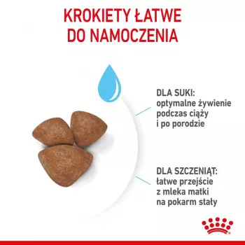 Sausā suņu barība Royal Canin Starter Mother & Babydog 1 kg — vistas gaļa, 30% olbaltumvielas, 22% tauki