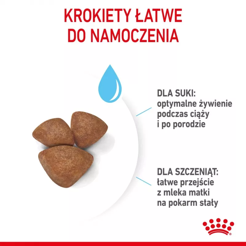 Sausā suņu barība Royal Canin Starter Mother & Babydog 1 kg — vistas gaļa, 30% olbaltumvielas, 22% tauki