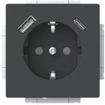 Busch-Jaeger SCHUKO kontaktligzda ar USB-A+C 20 EUCB2USBAC-885 (2CKA002011A6312)