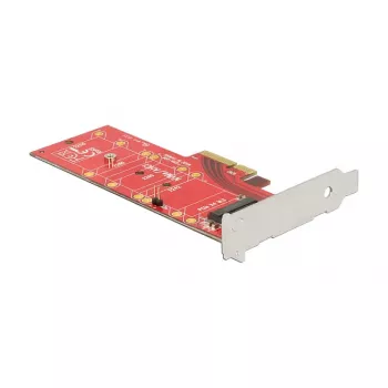 DeLOCK 89577 PCI Express M.2 interfeisa karte