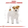 ROYAL CANIN Jack Russell Adult - sausā barība suņiem - 7.5 kg