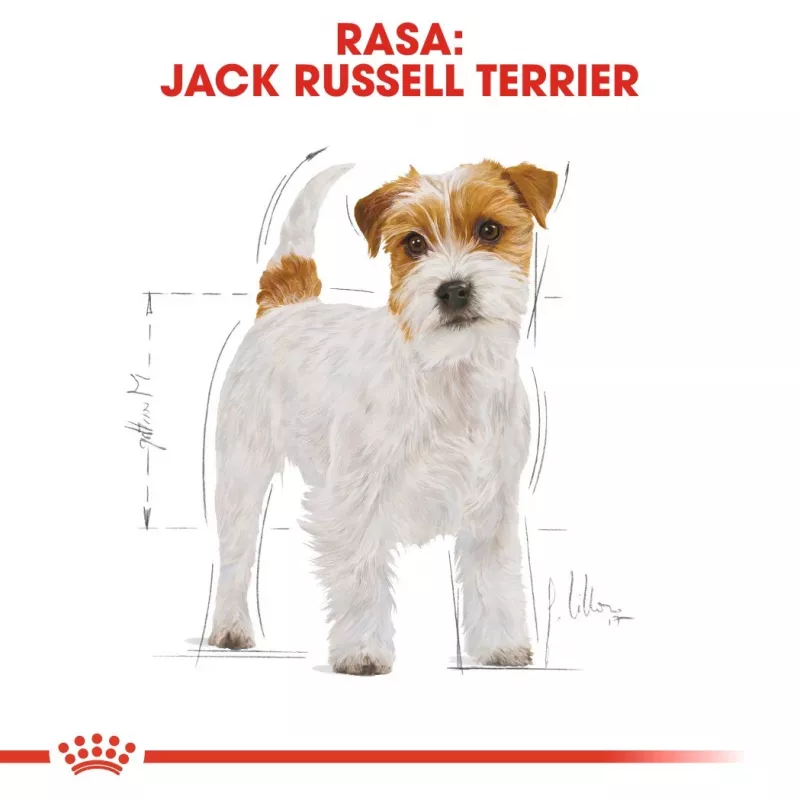 ROYAL CANIN Jack Russell Adult - sausā barība suņiem - 7.5 kg