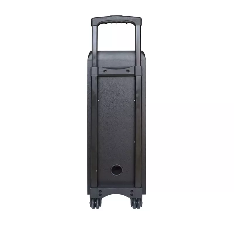 Portatīvais skaļrunis Manta SPK5220, melns